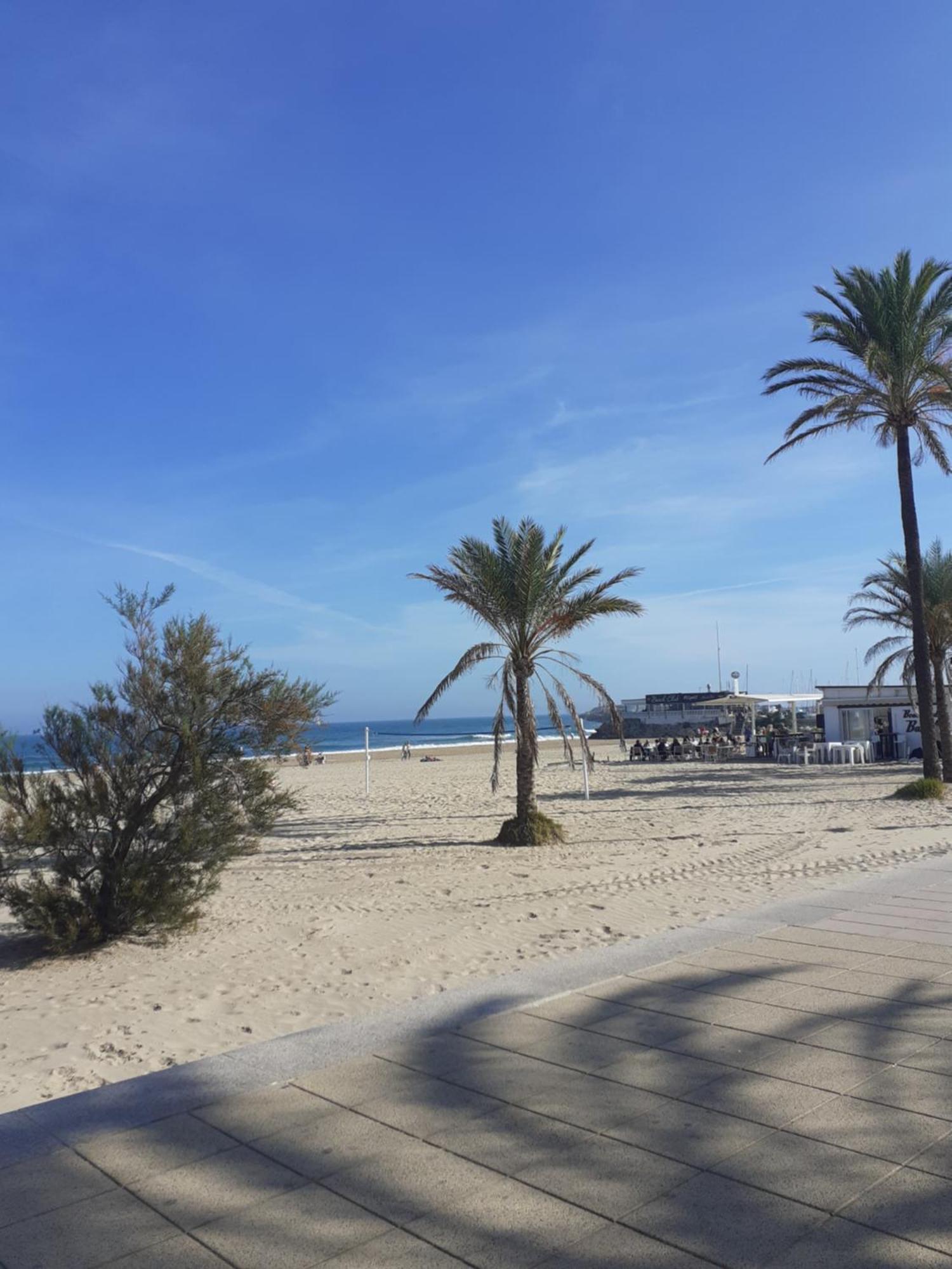 Apartment Paal Playa Solo Familias *